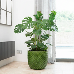 Keramický květináč Mars Jablečně zelený – ručně vyráběný glazovaný květináč z terakoty