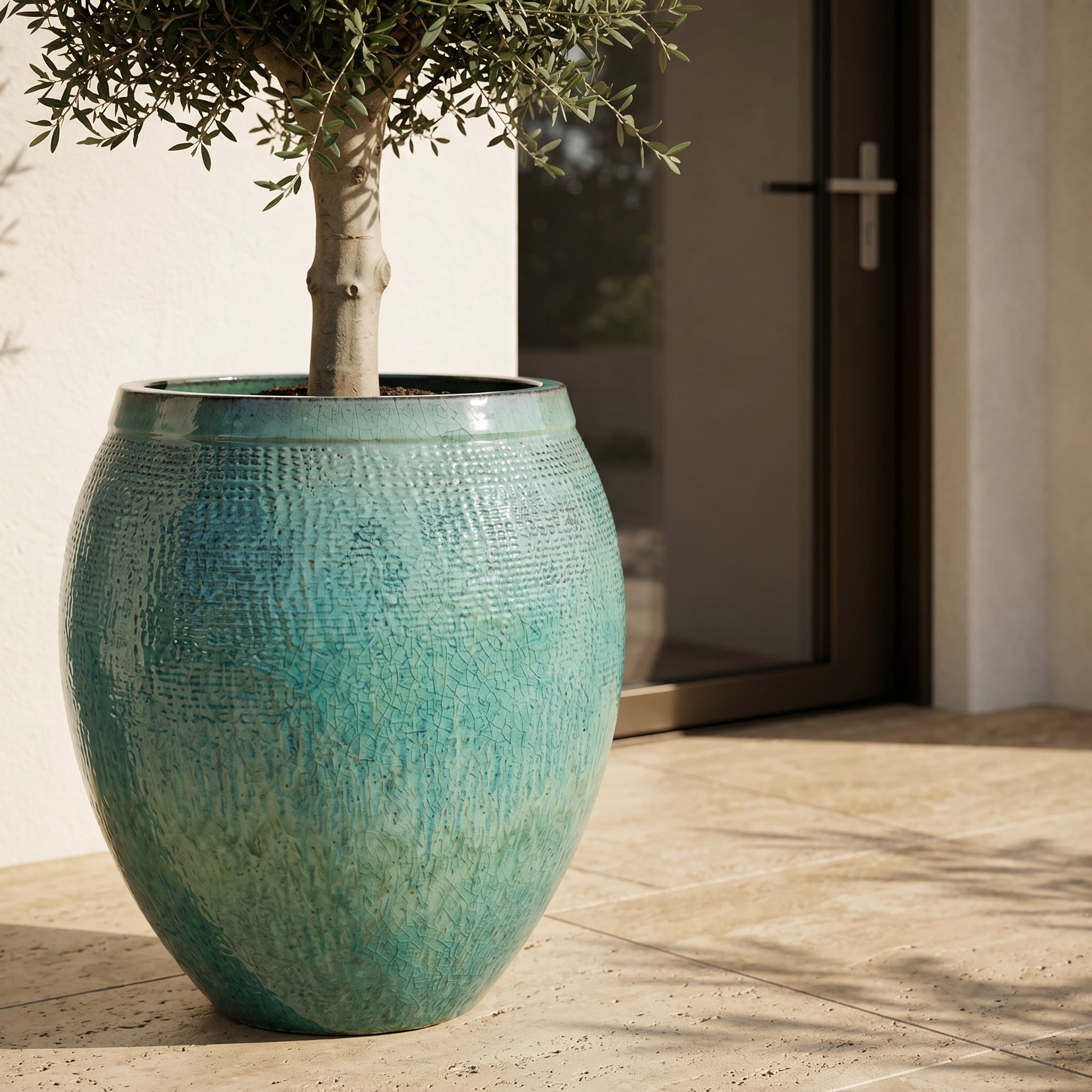 Olivenbaum (starker Stamm) im Topf COCOON 66×76cm — Meeresblau