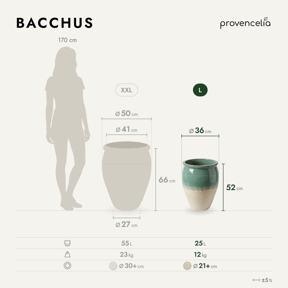 BACCHUS L – Maße