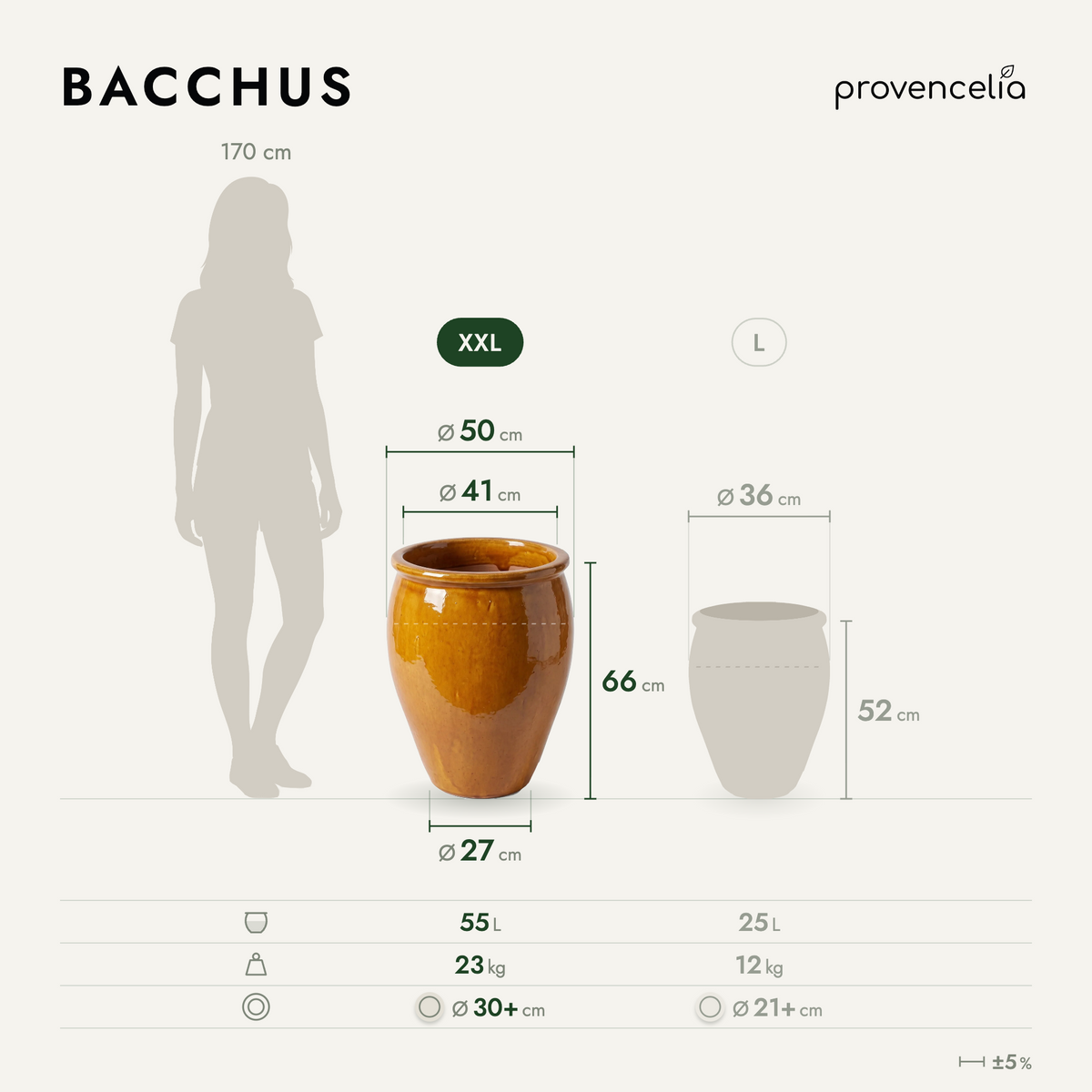 BACCHUS XXL – Maße