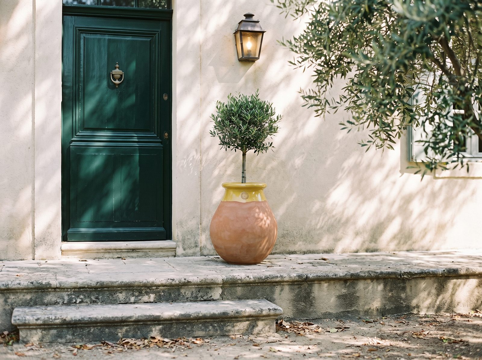 Biot mit Oliven-Formschnitt am Eingang eines Boutique-Hotels