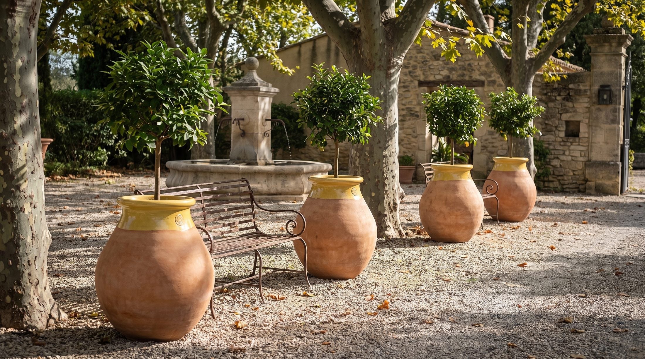 Vier Biots Made in Provence mit Buchsbäumen säumen den Weg eines Hotelhofs