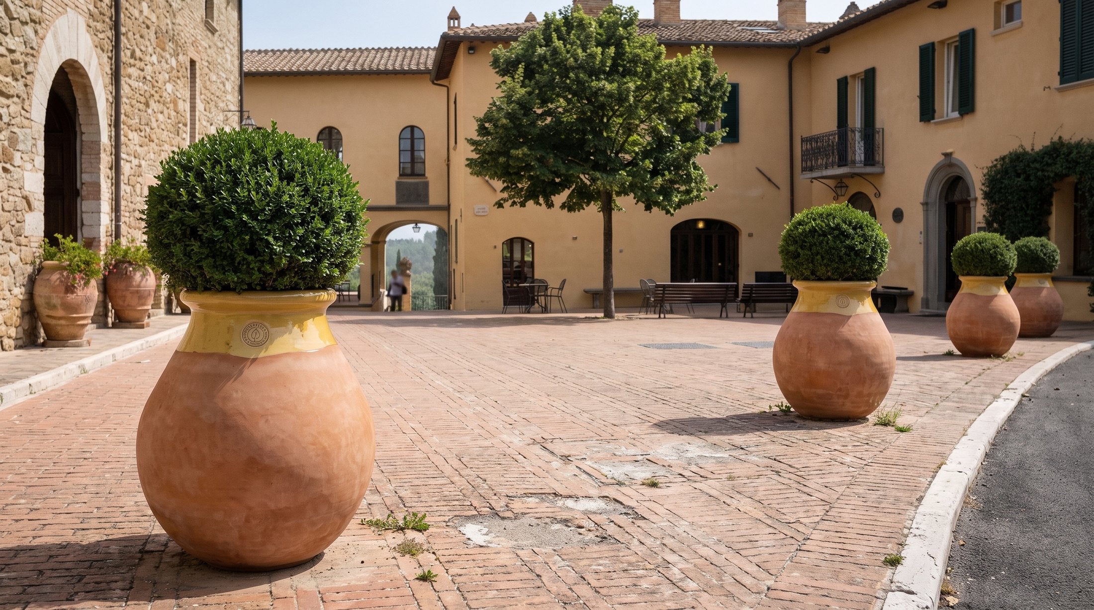 Vier Biots Made in Provence mit Buchsbäumen säumen den Weg eines Hotelhofs